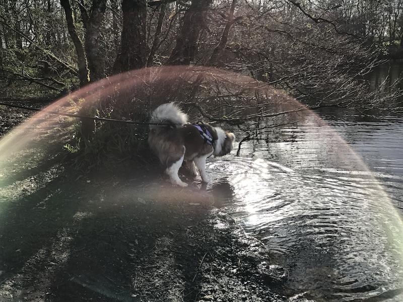 Ella at Mugdock park