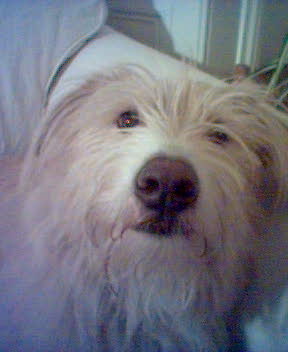 Berkeley in close-up